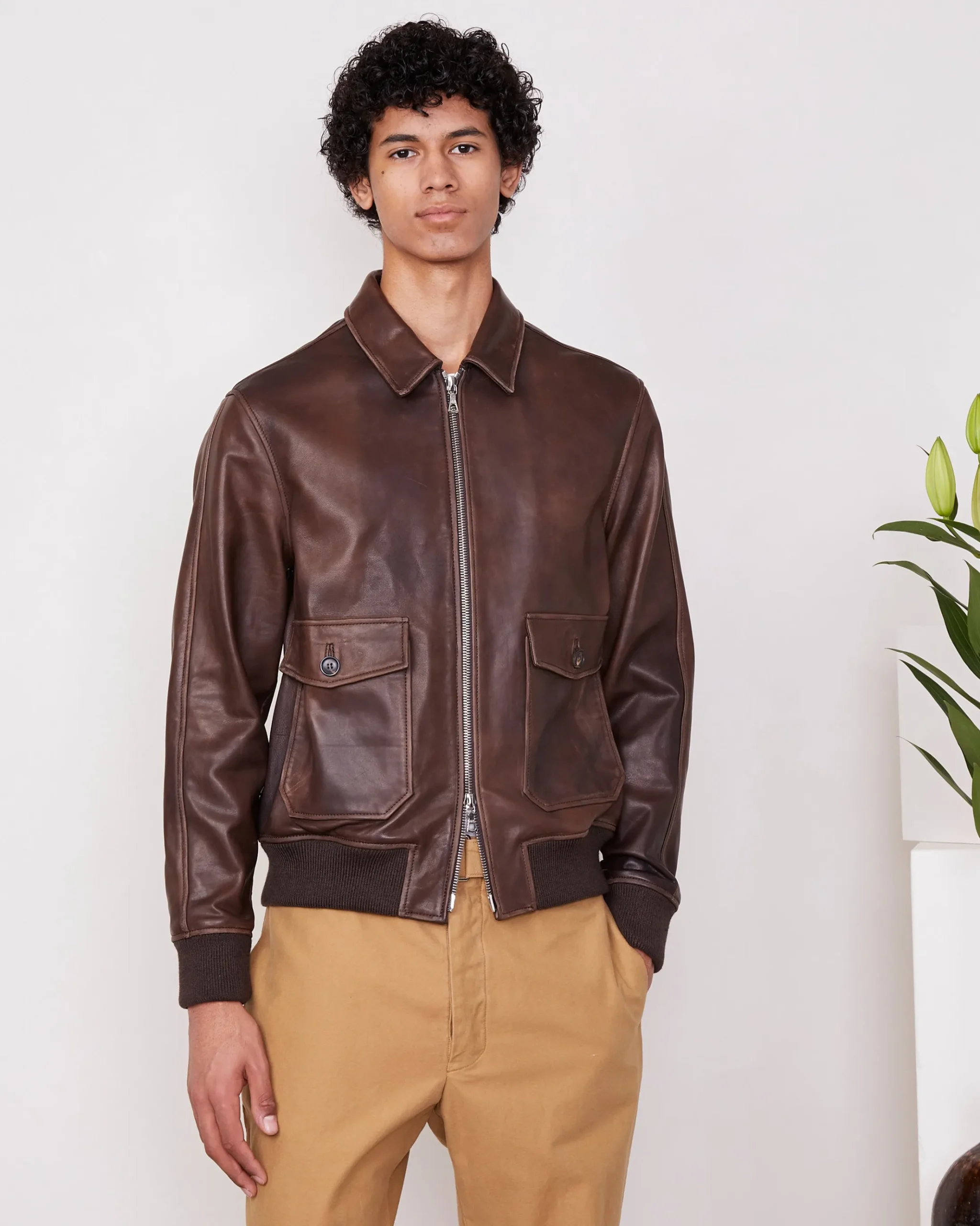 Cesario bomber