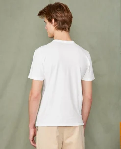 Crew neck t-shirt organic cotton jersey